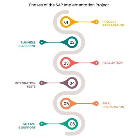 SAP Implementation Project 的图像结果