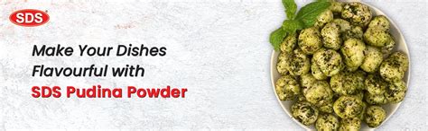 SDS Mint Powder - 50g (Pack of 2) | Natural Pudina Powder for Cooking ...