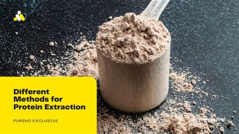 Image result for Protein Extraction Methods