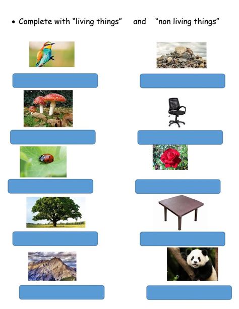 Image result for Java API Format Comments