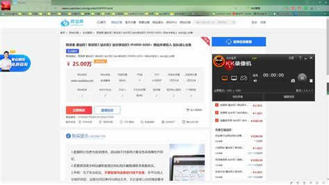 黑帽seo揭露行业25万售价的采集网站是如何操盘套现以及应用哪些手段快排老域名K站_哔哩哔哩_bilibili