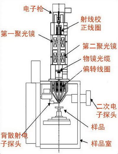 什麼是SEM成像?SEM如合成像?