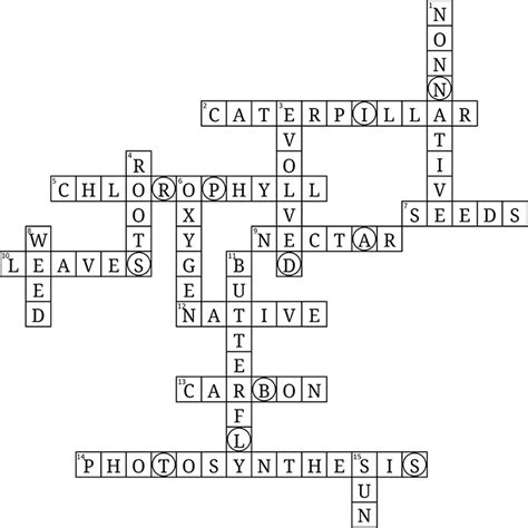 Audubon Adventures - Wading Birds Activity 1