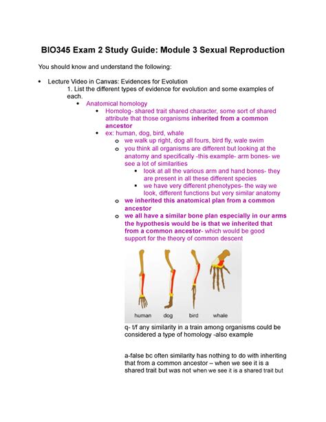 Module 3 Study Guide 的图像结果