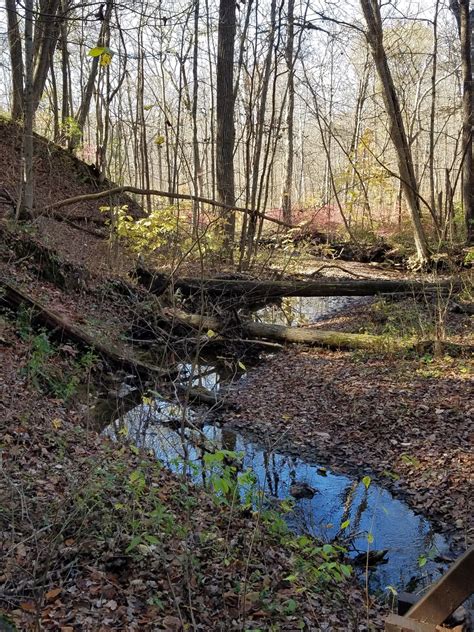 Slate Run Metro Park: A Hidden Gem in Central Ohio - Park Trips (and More)