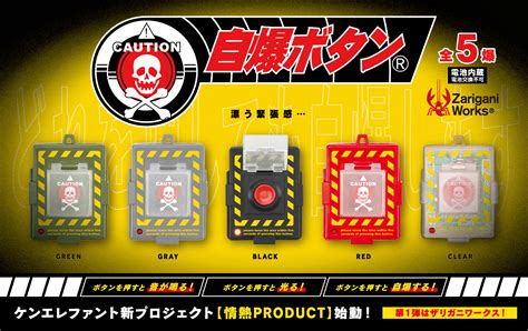 Image result for Cube Self-Destruct Button