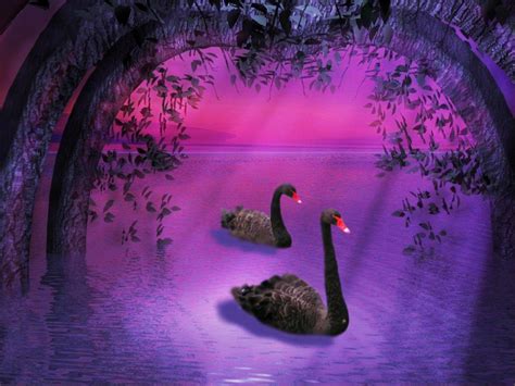 Black and Purple Nature 的图像结果