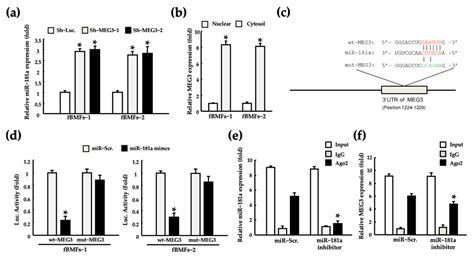 Fucoidan-Mediated Inhibition of Fibrotic Properties in Oral Submucous ...