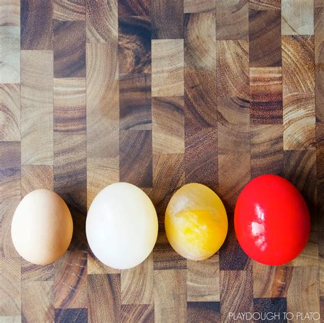 Image result for Cool Science Experiments