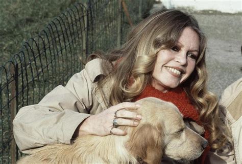 Brigitte Bardot, 1960s French sex symbol turned militant animal rights activist, dies at 91