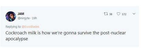 Cockroach milk becomes a health obsession, leaves social media crawling ...