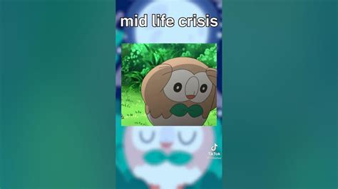 Image result for Rowlet Locations