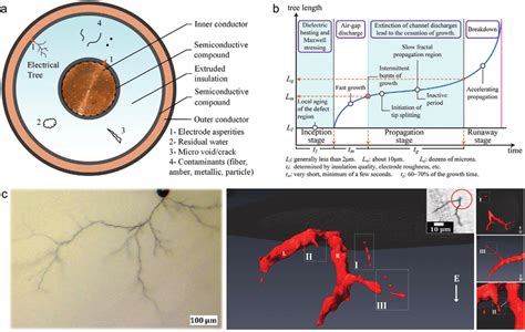 Electrical Tree Exploding 的图像结果