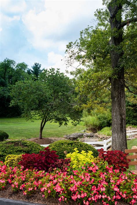 Delmar Gardens Of Meramec Valley | Skilled Nursing & Memory