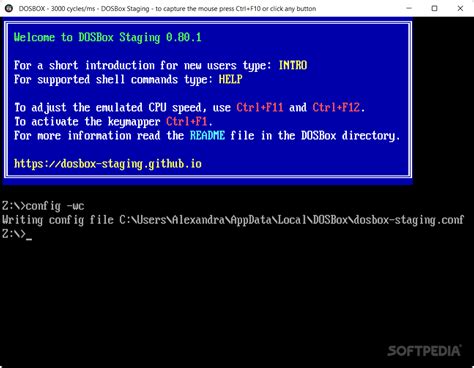 DOSBox Setup 的图像结果