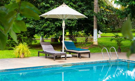 Photo Gallery | The Mangifera