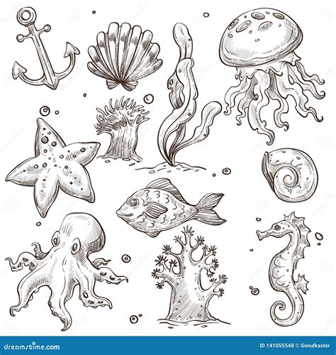 Underwater Sea Creatures Drawings