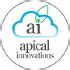 Working at Apical Innovations | Glassdoor