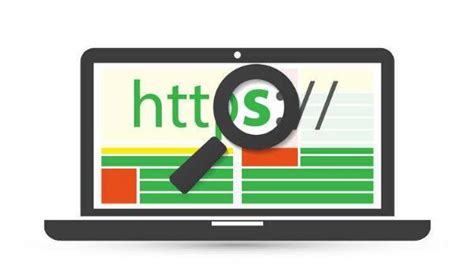 Manually enforcing HSTS in Google Chrome