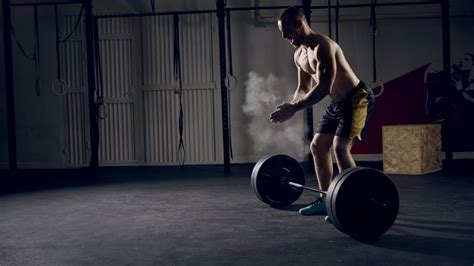 Muscle Excecise 的图像结果