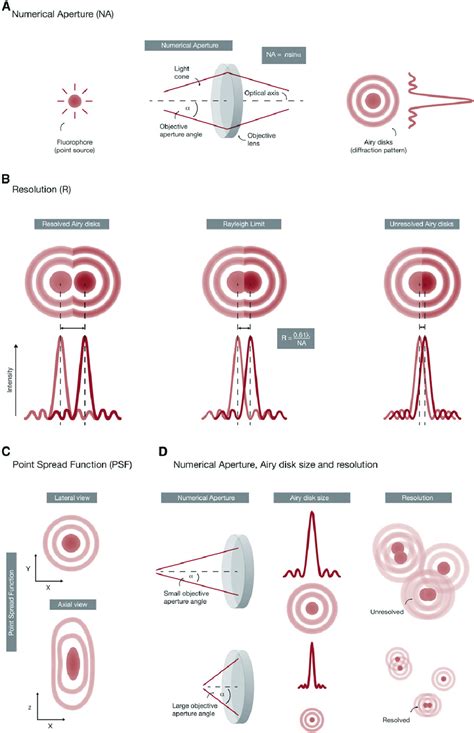 Image result for Optical Resolution Explained