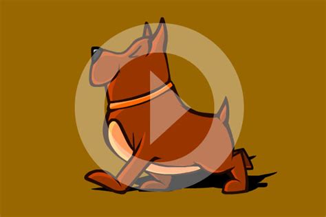 Image result for Shockwave Flash Animation SWF