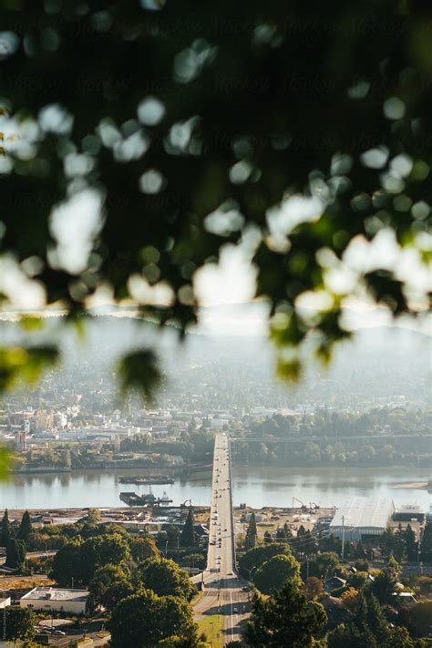 Bridge Over River 的图像结果