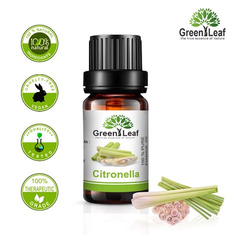 What Is Citronella Oil