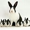 Image result for Rabbits as House Pets