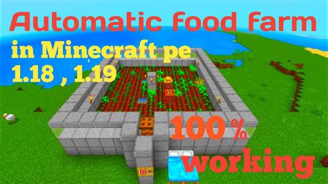 Image result for Food Automatic Farm in Minecraft Java