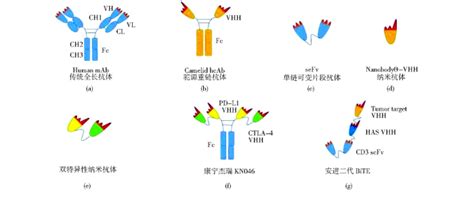 Image result for Difference Between C and Java