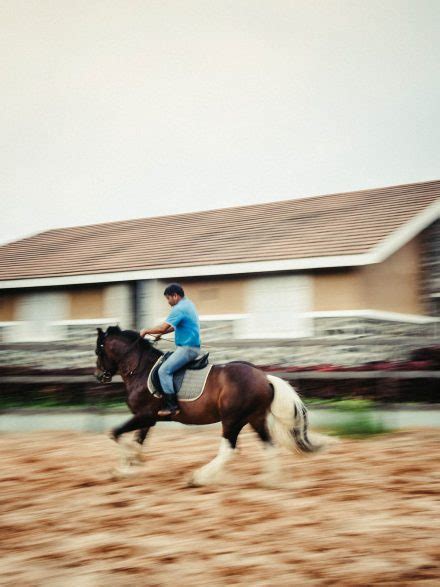 Where to go horseback riding on holiday in India