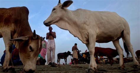 Man Beaten Up, House Set On Fire By Mob In Jharkhand After Dead Cow ...