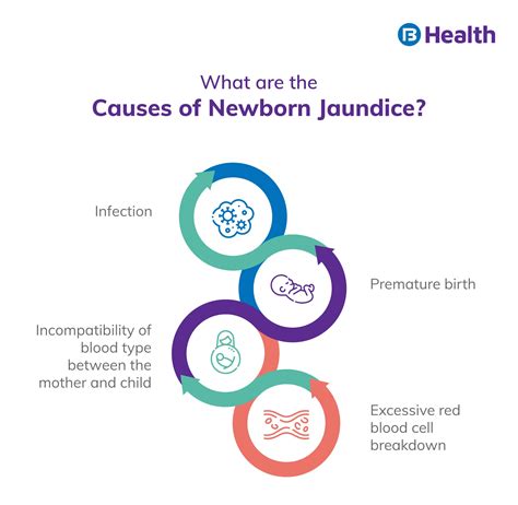 Newborn Jaundice: Symptoms, Causes, and Treatment
