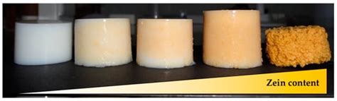 Sterile and Dual-Porous Aerogels Scaffolds Obtained through a Multistep ...