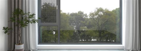 Insect Screen 的图像结果