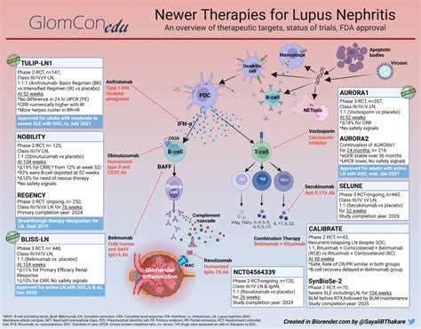 Lupus Nephritis Treatment – What is Next? – GlomCon (pubs)
