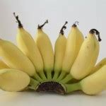 Image result for Pptx Programming Cover Examples