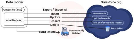 Image result for Salesforce Data Loader Tutorial
