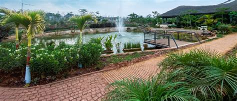 What Role Do Plants Play In Maintaining A Healthy Ecosystem? - Organo