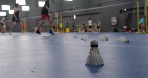 People Playing Badminton 的图像结果