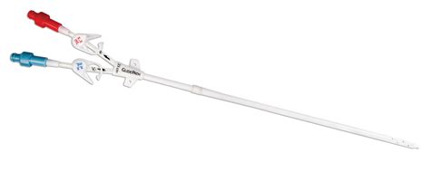 GlidePath™ Long-Term Hemodialysis Catheter - 6393310 | BD