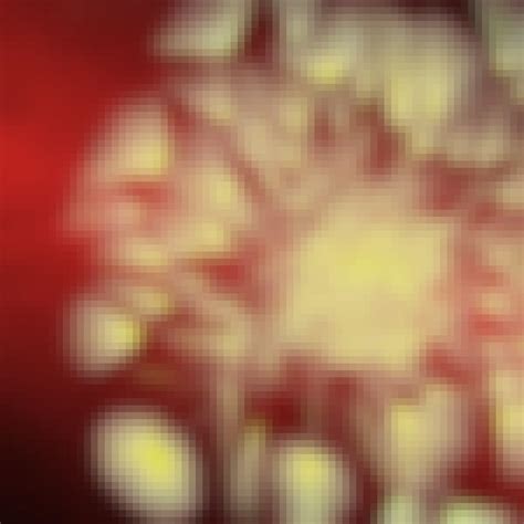 Distributed Database Courses 的图像结果