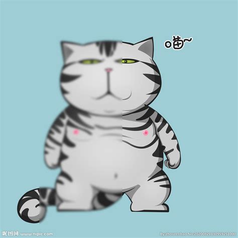 卡通猫设计图__其他_动漫动画_设计图库_昵图网nipic.com