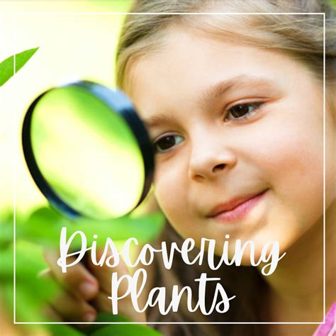 Image result for Plant Lesson First Grade