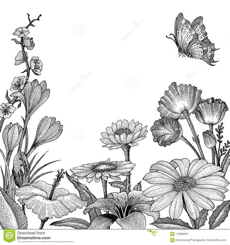 Image result for Spring Flowers Drawing