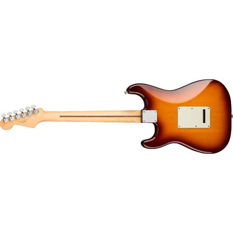 Buy Fender Player Stratocaster Plus Top Electric Guitar Online | Bajaao