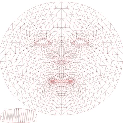 Image result for Face Mesh Map