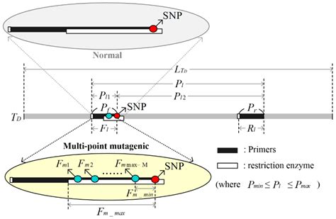 Machine Learning Combined with Restriction Enzyme Mining Assists in the ...
