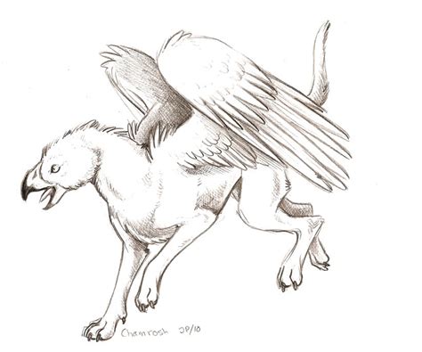 Birds in Legends, Mythology and Religion - III